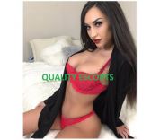 Worcester Quality Escorts 247