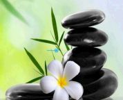 Petite Chinese Massage - Birmingham Rejuvenation